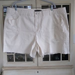 Lane Bryant White Denim Shorts
